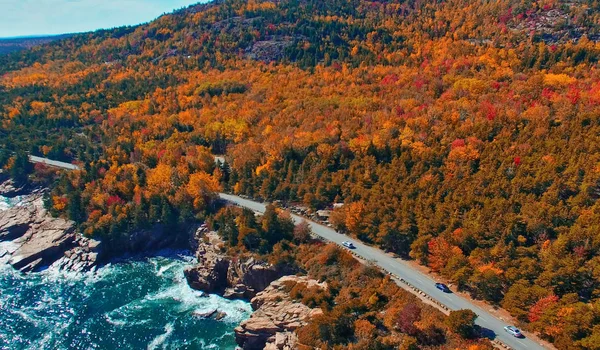 Vista aérea da floresta espessa no outono, época de folhagem em outubro — Fotografia de Stock