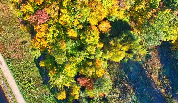 Sonbahar ormanı havadan insansız hava aracı görünümü. Yeşillik hava perspe renkleri — Stok fotoğraf
