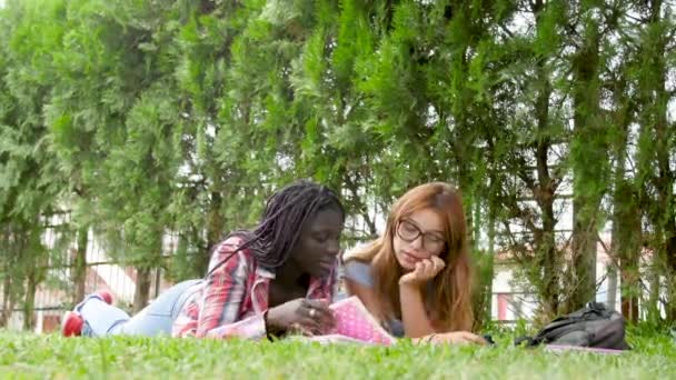 Imágenes Estudiantes Que Estudian Hierba Escuela Secundaria — Vídeos de Stock