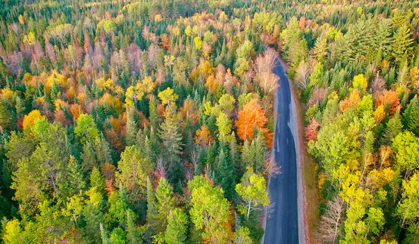 Vista aérea del camino forestal durante la temporada de follaje — Foto de Stock