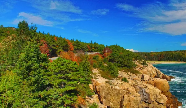 Beautiful road across woods in foliage season, aerial view — Stock Photo, Image