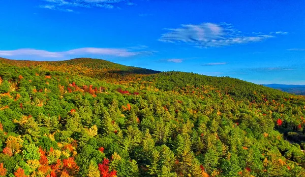 树叶季节森林的鸟瞰图。自然绿色，橙色 — 图库照片