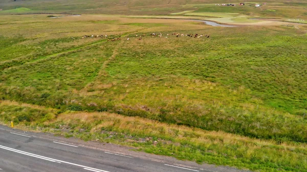 Campo de Islandia, vista aérea en verano — Foto de Stock