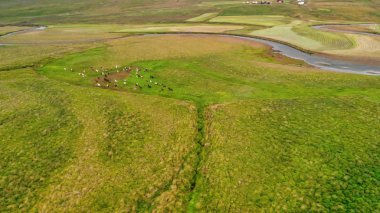 Otlakta at syonu koşusu, havadan görünüm