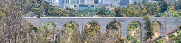 Brug en San Diego skyline met bomen op de voorgrond — Stockfoto