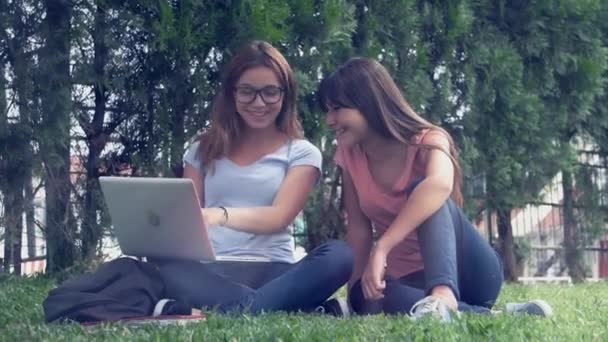 Optagelser Skolepiger Der Arbejder Med Laptop Græs Gymnasiet – Stock-video