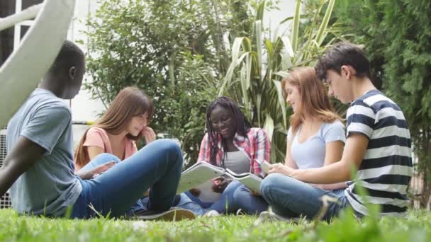 Imágenes Estudiantes Que Estudian Hierba Escuela Secundaria — Vídeos de Stock