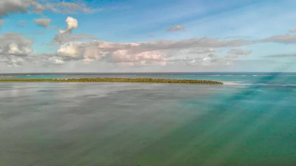 Mauritius Güzel Hava Manzarası Orman Okyanus — Stok fotoğraf