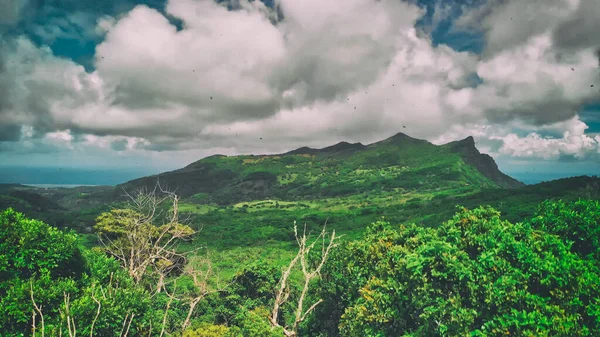 Panoramic Aerial View Mauritius Coastline Africa Sunny Day Ocean Vegetation — Stock Photo, Image