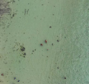 Güzel bir kumsaldaki yüzücülerin insansız hava aracından havadan görünüşü.