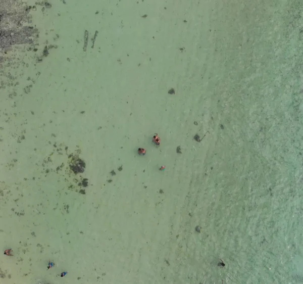 Felett Légi Kilátás Úszók Egy Gyönyörű Strandon Egy Drón — Stock Fotó