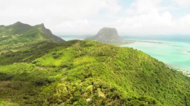 Mauritius 'un güzel hava manzarası. Orman ve okyanus