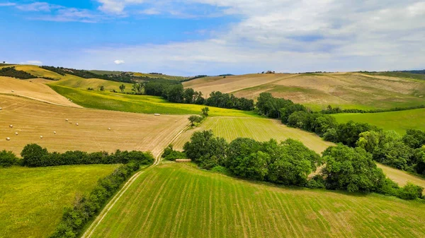 Vista Aérea Incrível Campo Trigo Com Papoilas Toscana — Fotografia de Stock