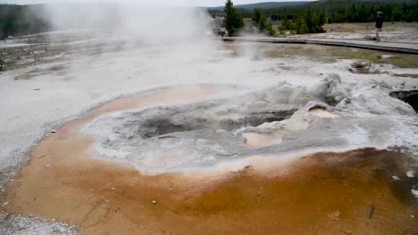 Piscina caliente en el Parque Nacional de Yellowstone, Estados Unidos — Vídeo de stock