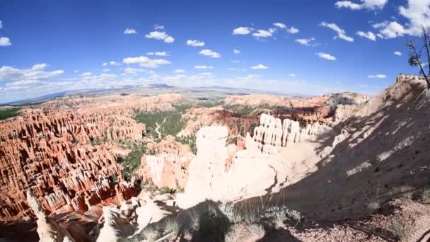 Bryce Kanyon Dağları ve Ağaçlarının Panoramik Manzarası — Stok video