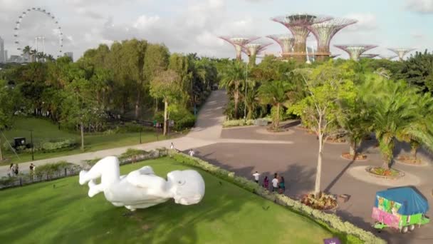 Singapur desde el aire. Jardines junto al parque de la bahía en el área de Marina Bay en una hermosa tarde soleada — Vídeos de Stock