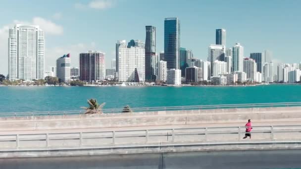 Miami 'deki Rickenbacker Geçidi, hava manzaralı. — Stok video