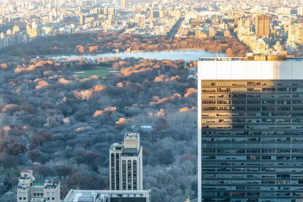 Spettacolare Vista Aerea Central Park Inverno New York City Usa — Foto Stock