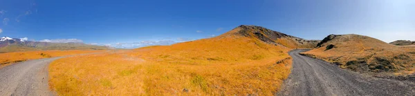 冰岛惊人的陨石坑 夏天的全景 — 图库照片