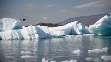 Jokulsarlon lagününün panoramik manzarası, İzlanda
