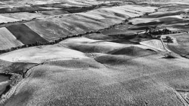 Açık kırsaldaki lavanta otlakları. Yaz mevsiminde inanılmaz hava manzarası.
