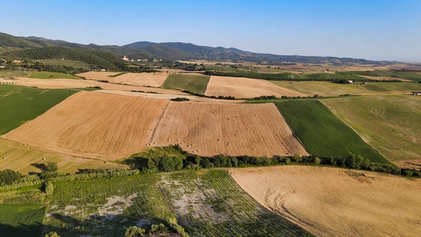 Bovengronds Uitzicht Lavendelvelden Het Platteland Zomerseizoen Drone Uitkijkpunt — Stockfoto