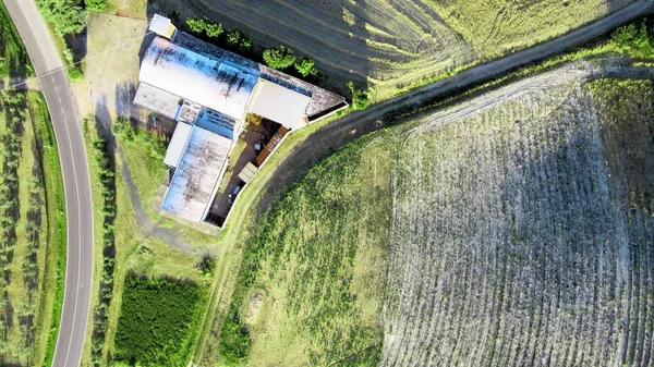 Prados Lavanda Campo Abierto Increíble Vista Aérea Temporada Verano — Foto de Stock