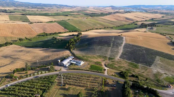 Bovengronds Uitzicht Lavendelvelden Het Platteland Zomerseizoen Drone Uitkijkpunt — Stockfoto