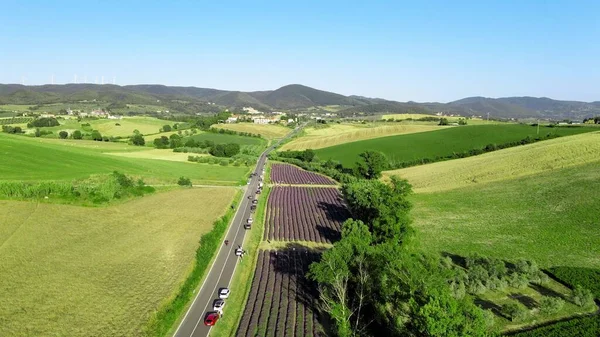 Lavendelweiden Het Open Platteland Verbazingwekkend Uitzicht Vanuit Lucht Het Zomerseizoen — Stockfoto