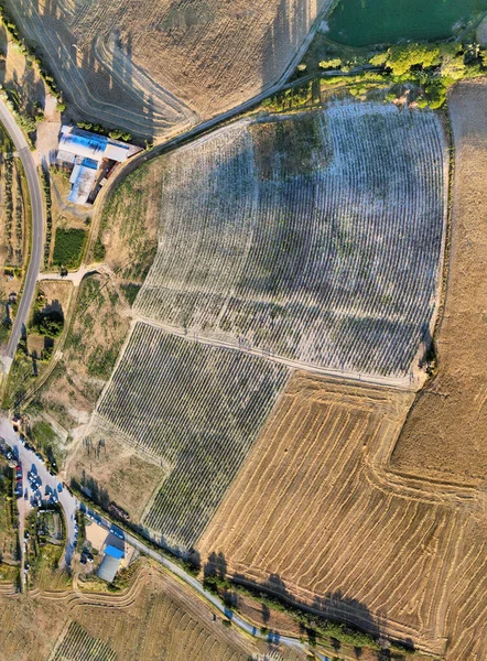 Lavender Meadows Open Countryside Amazing Aerial View Summer Season — Stock Photo, Image