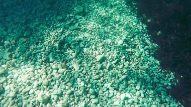 Su altı deniz yaşamı, İtalyan okyanusu..