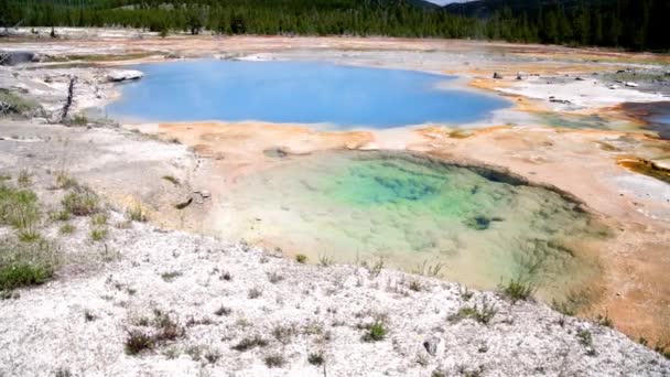 Ζεστή πισίνα στο Εθνικό Πάρκο Yellowstone, ΗΠΑ — Αρχείο Βίντεο