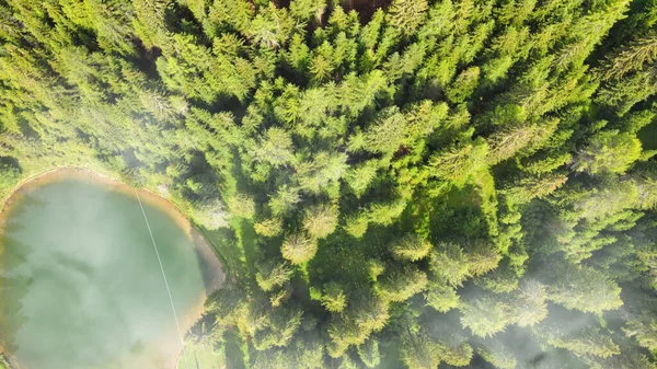 Aerial View Beautiful Mountain Trees Summer Season — Stock Photo, Image