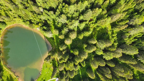 Alpin Lake Summer Time Surrounded Beautiful Forest Overhead Downward Aerial — Stock Photo, Image