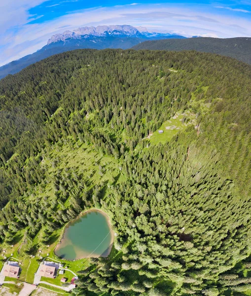 Alpin Lake Summer Time Surrounded Beautiful Forest Overhead Downward Aerial — Stock Photo, Image