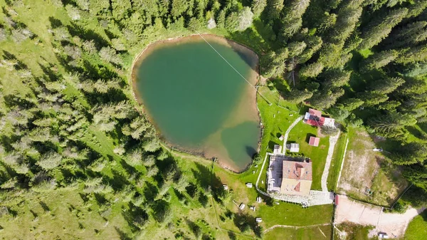 Alpin Lake Summer Time Surrounded Beautiful Forest Overhead Downward Aerial — Stock Photo, Image