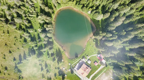 Jezioro Alpin Okresie Letnim Otoczeniu Pięknego Lasu Nad Głową Dół — Zdjęcie stockowe