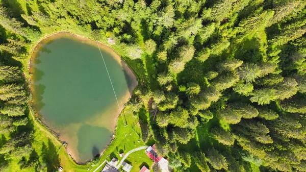 Jezioro Alpin Okresie Letnim Otoczeniu Pięknego Lasu Nad Głową Dół — Zdjęcie stockowe