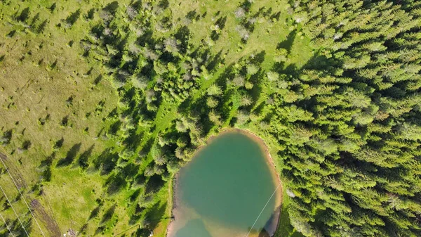 Lago Alpin Hora Verão Cercado Por Bela Floresta Vista Aérea — Fotografia de Stock