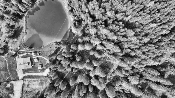 Alpin Nyári Időszámítás Körül Gyönyörű Erdő Felülről Lefelé Légi Kilátás — Stock Fotó
