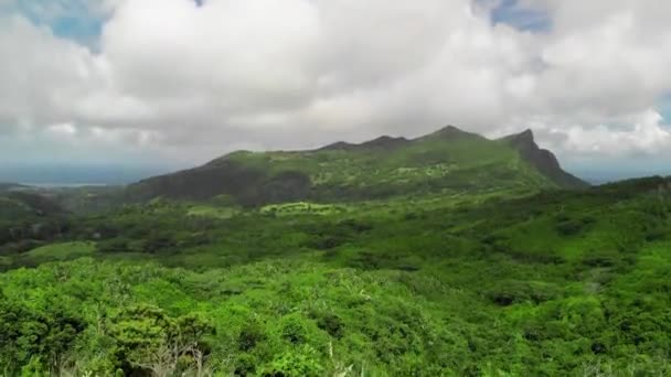 Prachtig uitzicht vanuit de lucht op Mauritius. Bos en oceaan — Stockvideo