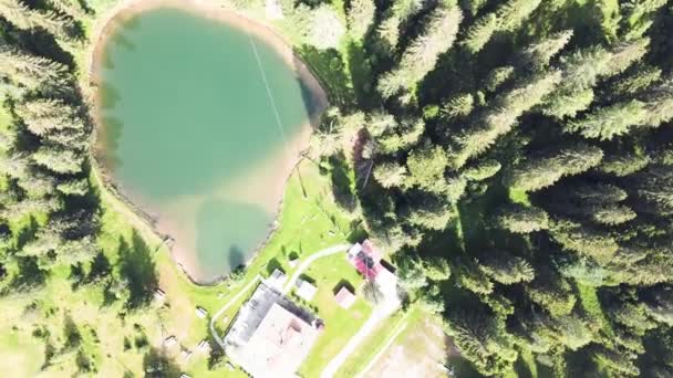 여름에는 알핀 호수가 아름다운 숲에 둘러 싸여 공중에서 아래를 내려다보고 있다 — 비디오