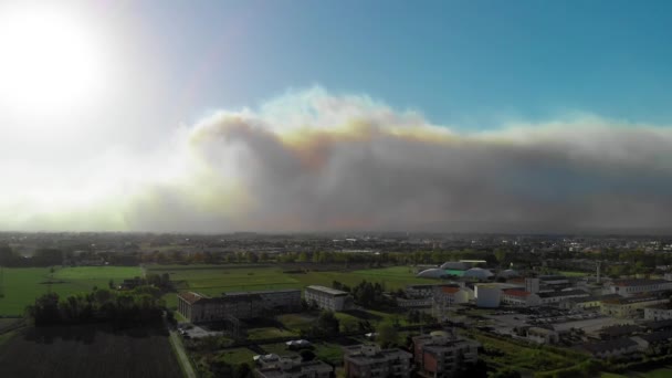 Vista aérea del campo con incendio provocado. Humo hacia el cielo, vista desde el dron — Vídeo de stock