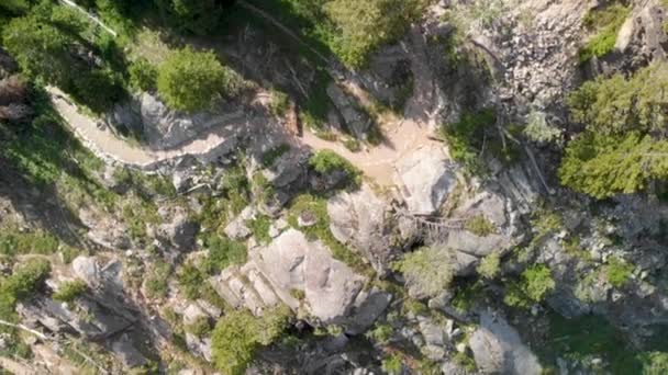 Luchtfoto van Jenny Lake in Grand Teton National Park — Stockvideo