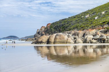 Wilsons Promontory, Victoria, Avustralya 'daki Squeaky Plajı' nda devasa turuncu cüsseler..