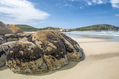 Wilsons Promontory, Victoria, Avustralya 'daki Squeaky Plajı' nda devasa turuncu cüsseler..