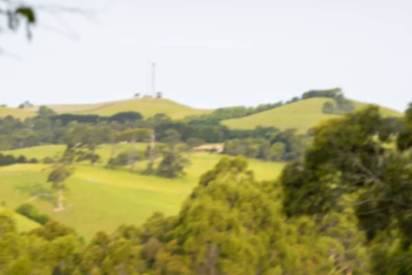 ビクトリアの美しい田舎の丘 オーストラリア 焦点を当てたぼやけたビュー — ストック写真