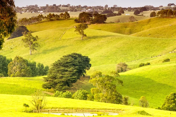Schöne Hügellandschaft Von Victoria Australien Landschaft Bei Bena — Stockfoto