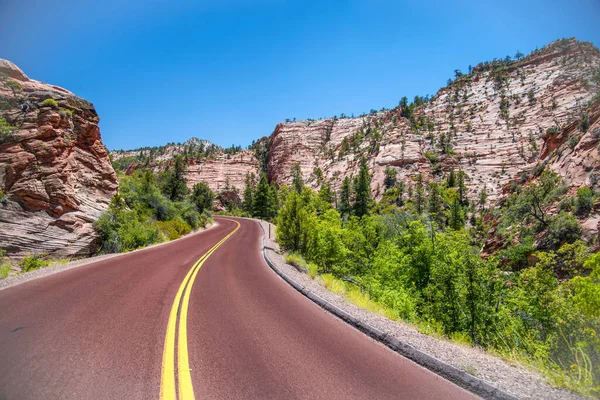 Röd Landsväg Zions Nationalpark Utah — Stockfoto