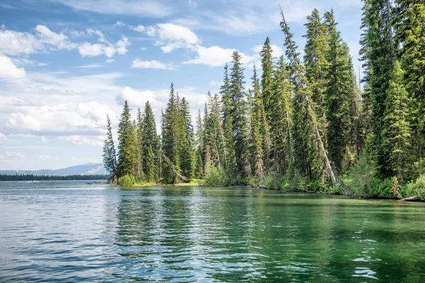 Jenny Lake Med Träd Grand Teton National Park Wyoming — Stockfoto